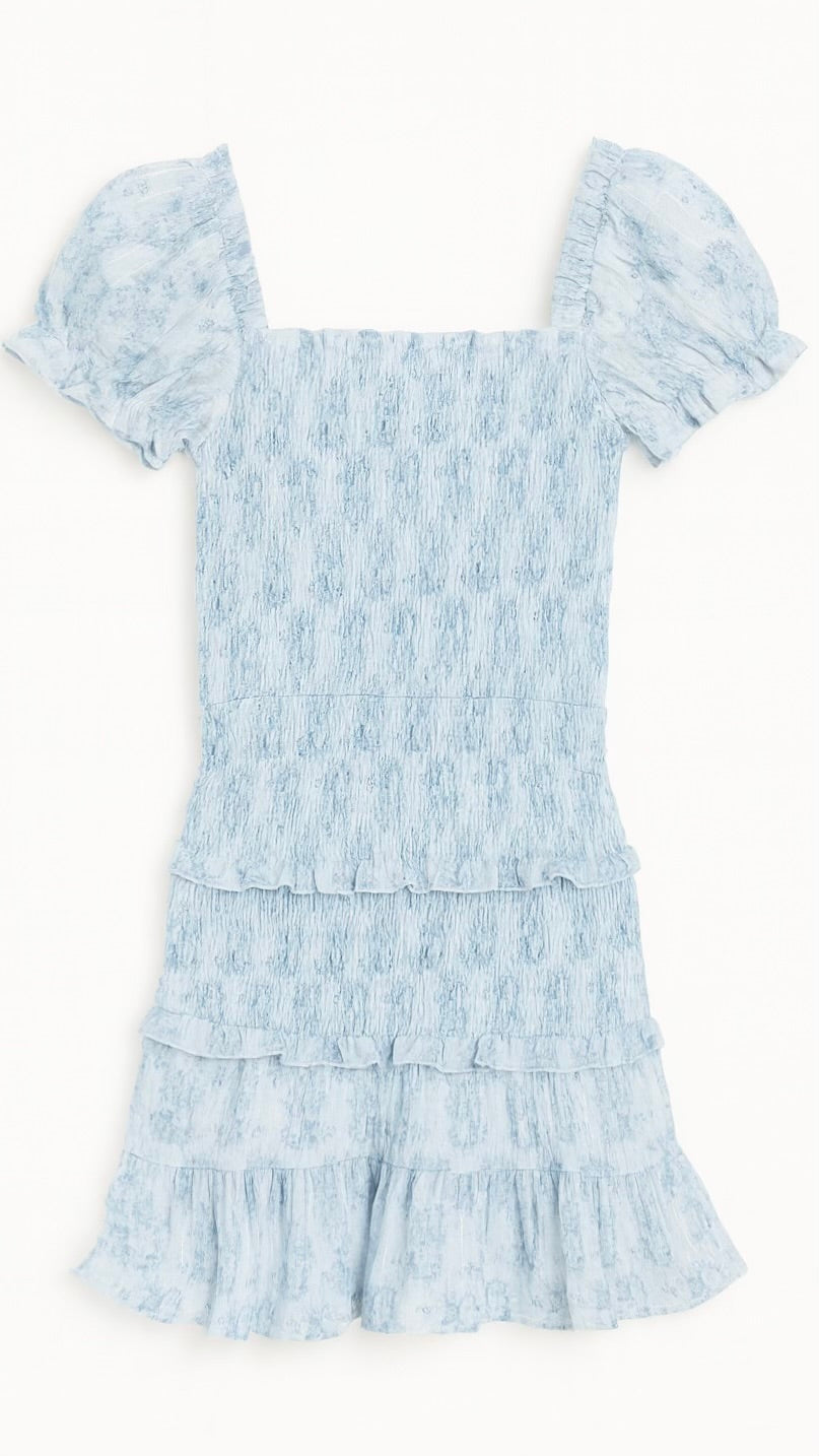 Milou Dress Blue Mini Roses