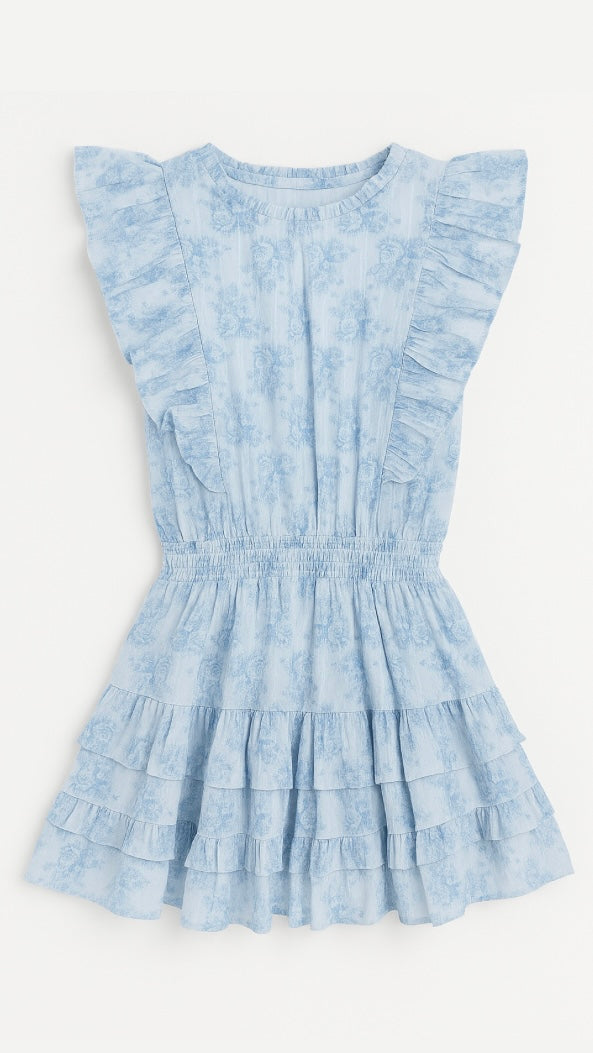 Gustavia Dress Mini Roses Blue