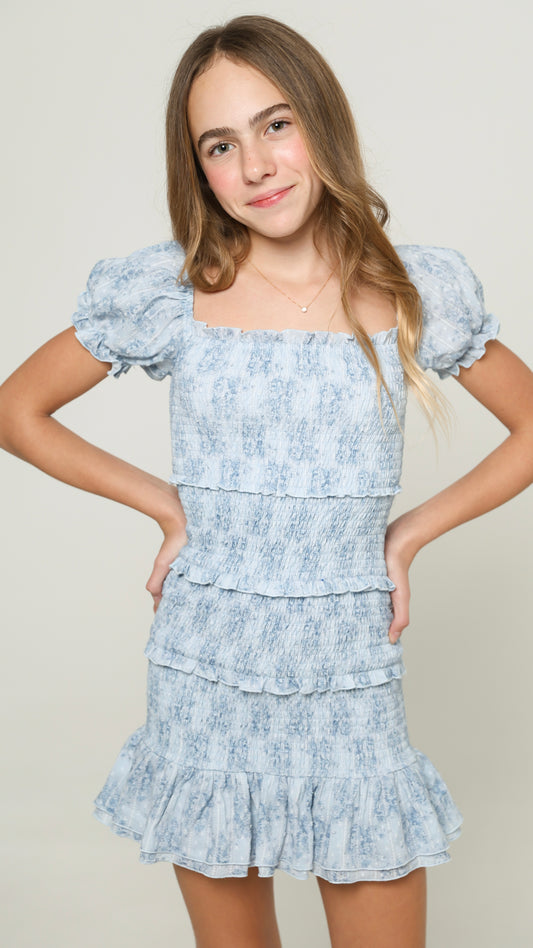 Milou Dress Blue Mini Roses